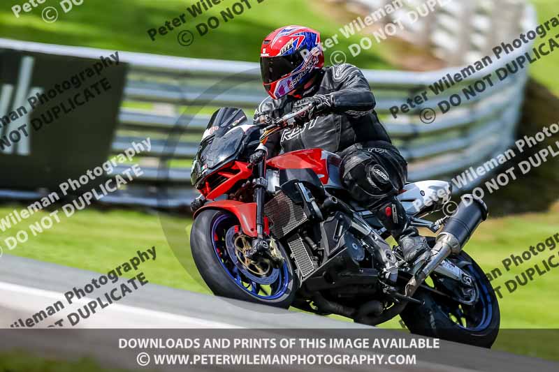 PJ Motorsport 2019;anglesey;brands hatch;cadwell park;croft;donington park;enduro digital images;event digital images;eventdigitalimages;mallory;no limits;oulton park;peter wileman photography;racing digital images;silverstone;snetterton;trackday digital images;trackday photos;vmcc banbury run;welsh 2 day enduro